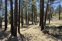 Land for sale in Coconino County, Arizona