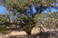 Land for sale in Coconino County, Arizona