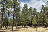 Undeveloped Land for sale in Coconino County, Arizona