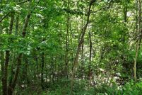 Land for sale in Pike County, Ohio