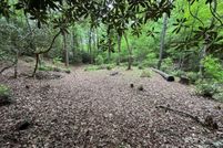 Undeveloped Land for sale in Transylvania County, North Carolina