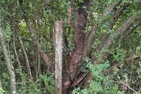 Land for sale in Yadkin County, North Carolina