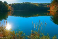 Undeveloped Land for sale in Hardeman County, Tennessee