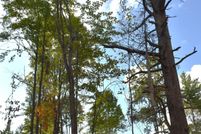 Waterfront Property for sale in Cheboygan County, Michigan