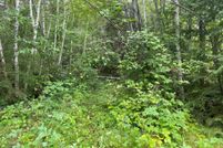 Undeveloped Land for sale in Sawyer County, Wisconsin