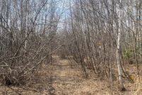 Land for sale in Price County, Wisconsin