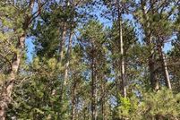 Undeveloped Land for sale in Price County, Wisconsin