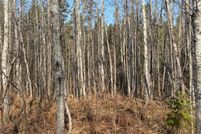 Land for sale in Price County, Wisconsin