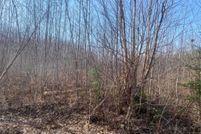 Undeveloped Land for sale in Price County, Wisconsin