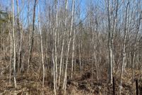 Land for sale in Price County, Wisconsin