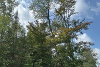 Undeveloped Land for sale in Oneida County, Wisconsin