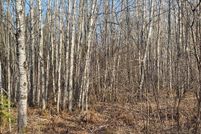 Land for sale in Ashland County, Wisconsin