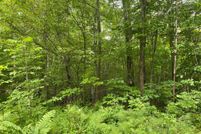 Land for sale in Sawyer County, Wisconsin