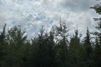 Undeveloped Land for sale in Oneida County, Wisconsin