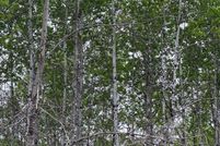 Land for sale in Oneida County, Wisconsin