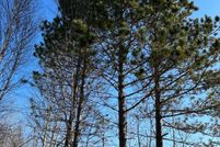 Undeveloped Land for sale in Lincoln County, Wisconsin