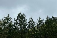 Waterfront Property for sale in Oneida County, Wisconsin