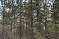 Undeveloped Land for sale in Oneida County, Wisconsin