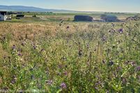 Timberland Property for sale in Teton County, Idaho