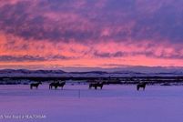 Land for sale in Sublette County, Wyoming