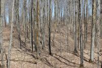 Land for sale in Ashland County, Wisconsin