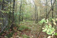 Land for sale in Price County, Wisconsin