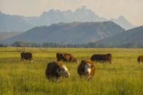 Farm and Ranch for sale in Teton County, Wyoming