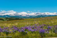 Land for sale in Johnson County, Wyoming