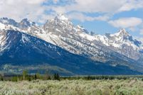 Undeveloped Land for sale in Teton County, Wyoming