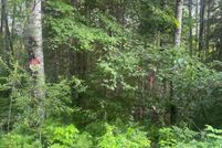 Undeveloped Land for sale in Forest County, Wisconsin