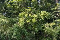 Land for sale in Durham County, North Carolina