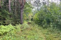 Land for sale in Oneida County, Wisconsin