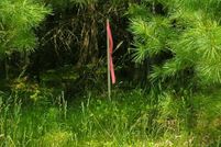 Land for sale in Oneida County, Wisconsin