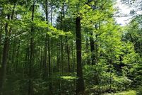 Land for sale in Vilas County, Wisconsin