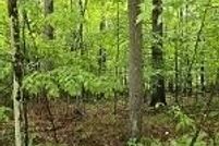 Land for sale in Essex County, New York