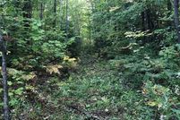 Undeveloped Land for sale in Clinton County, New York