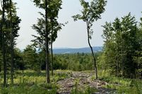 Undeveloped Land for sale in Clinton County, New York