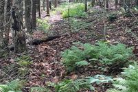 Timberland Property for sale in Hamilton County, New York