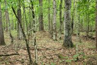 Farm and Ranch for sale in Essex County, New York