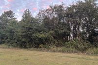 Land for sale in Dallas County, Alabama