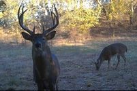 Recreational Property for sale in Labette County, Kansas