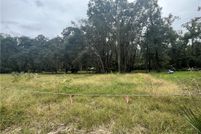Undeveloped Land for sale in McIntosh County, Georgia