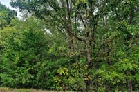 Undeveloped Land for sale in Buckingham County, Virginia