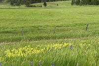 Land for sale in Valley County, Idaho