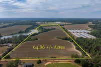 Undeveloped Land for sale in Colquitt County, Georgia