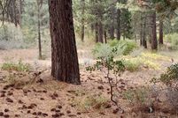 Land for sale in Plumas County, California