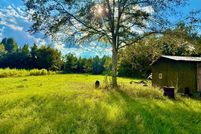 Undeveloped Land for sale in Wilcox County, Alabama