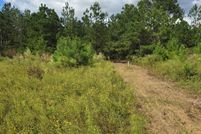 Land for sale in Lowndes County, Georgia