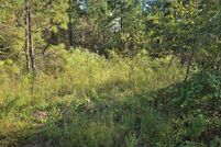 Homesite for sale in Lowndes County, Georgia