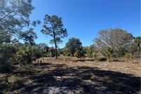 Land for sale in Hendry County, Florida